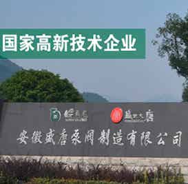 皖氟龍集團